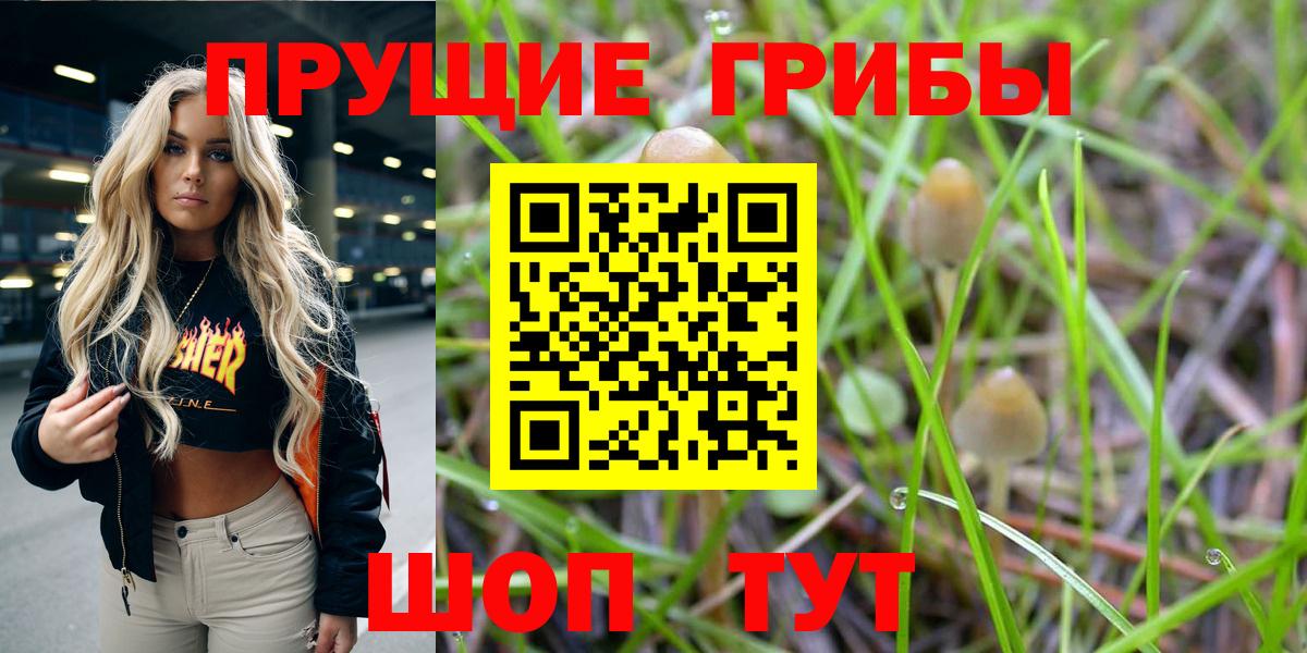 Псилоцибиновые грибы Magic Shrooms  Вход с VPN  Кимры 